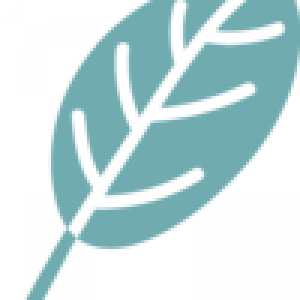 leaf-logo–teal leaf-logo--teal