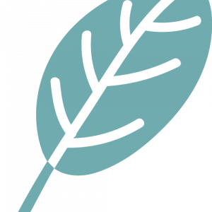 leaf-logo–teal leaf-logo--teal